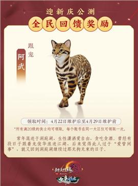 天龙八部私服生肖迷宫